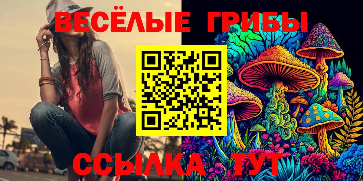Галлюциногенные грибы мицелий Качканар