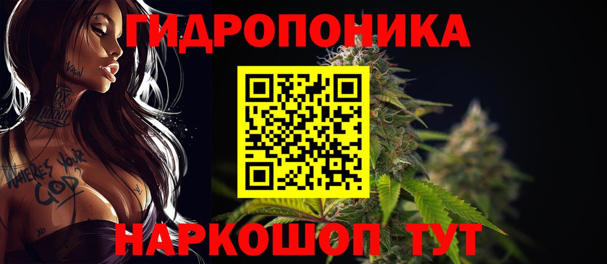 Марихуана сатива Качканар